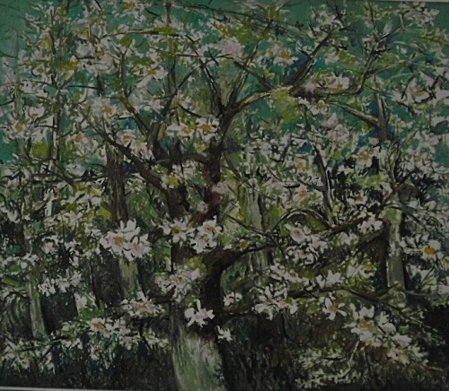 Galeriile de arta Stefan Luchian poza